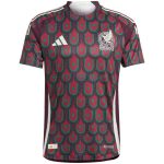 Mexiko Spielerversion Heimtrikot Copa America 2024
