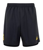 Herren Real Madrid 2023/24 Dritte Shorts